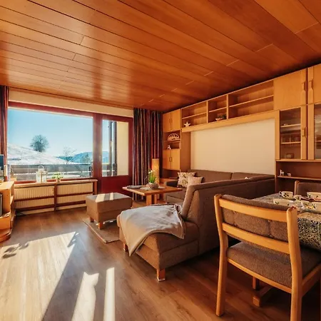 Bergschwalbe St. Andreasberg Санкт-Андреасберг