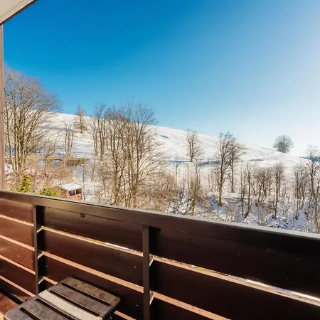 Bergschwalbe St. Andreasberg Санкт-Андреасберг