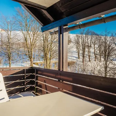 Bergschwalbe St. Andreasberg *