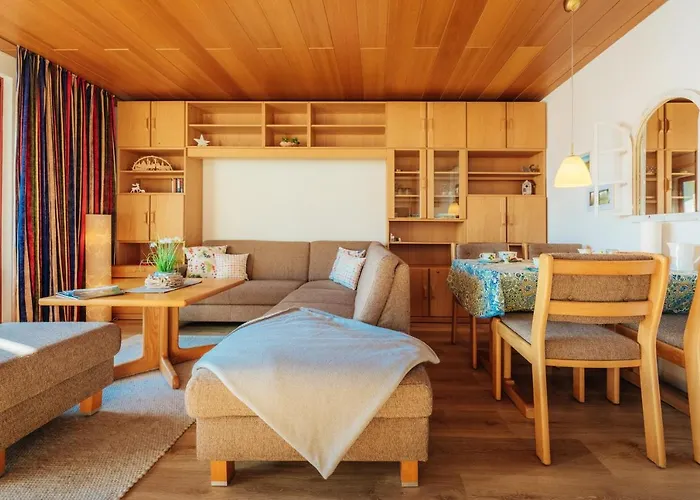 Bergschwalbe St. Andreasberg