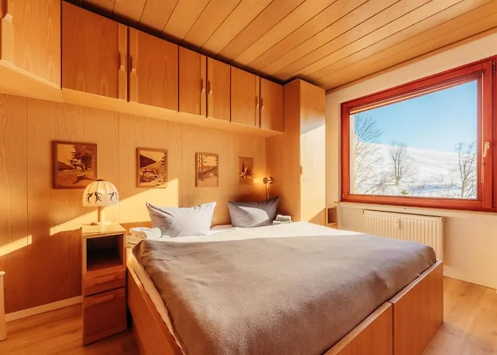 Bergschwalbe St. Andreasberg Sankt Andreasberg