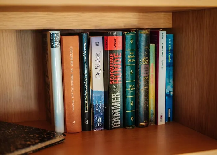 Daire Bergschwalbe St. Andreasberg Sankt Andreasberg