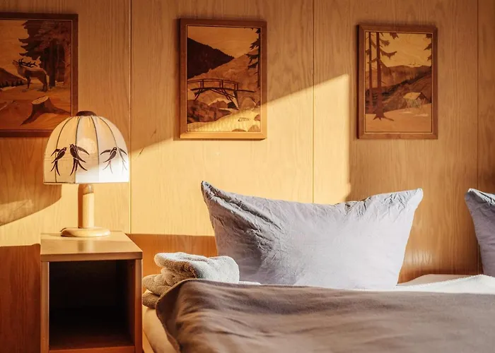 Daire Bergschwalbe St. Andreasberg *