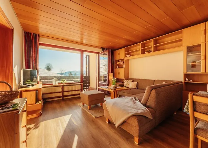 Bergschwalbe St. Andreasberg Sankt Andreasberg