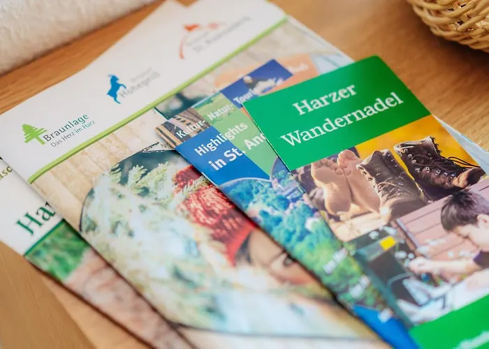 Bergschwalbe St. Andreasberg Daire Sankt Andreasberg