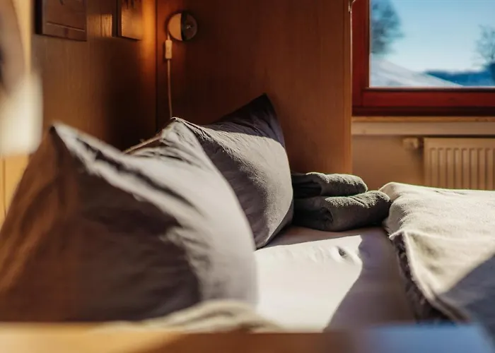 Bergschwalbe St. Andreasberg