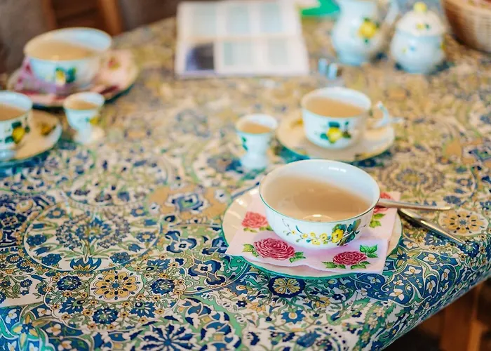 Bergschwalbe St. Andreasberg Daire