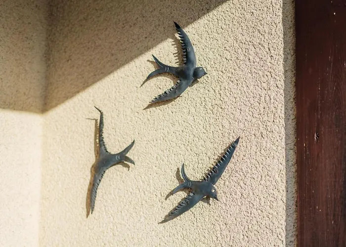 Bergschwalbe St. Andreasberg