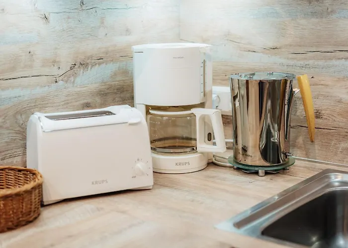 Daire Bergschwalbe St. Andreasberg *