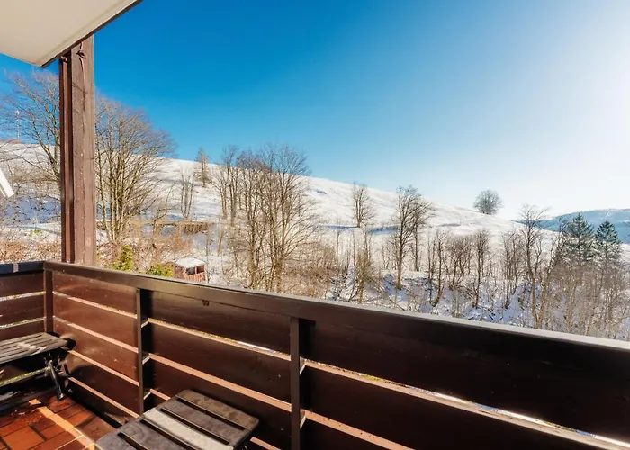 Bergschwalbe St. Andreasberg Sankt Andreasberg