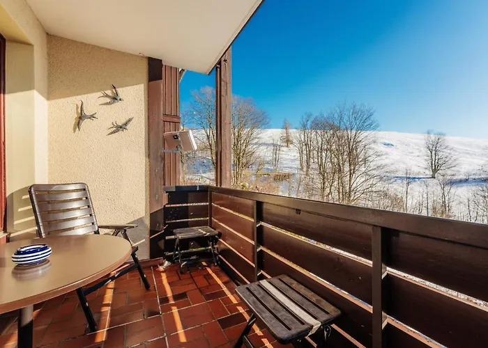 Bergschwalbe St. Andreasberg