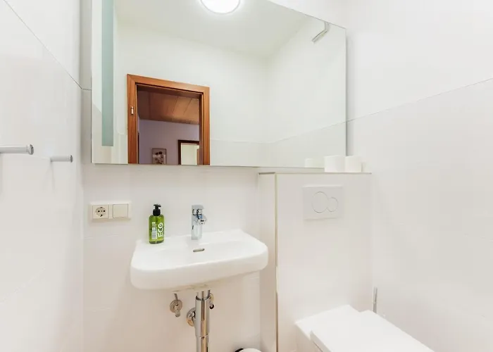 Bergschwalbe St. Andreasberg Daire