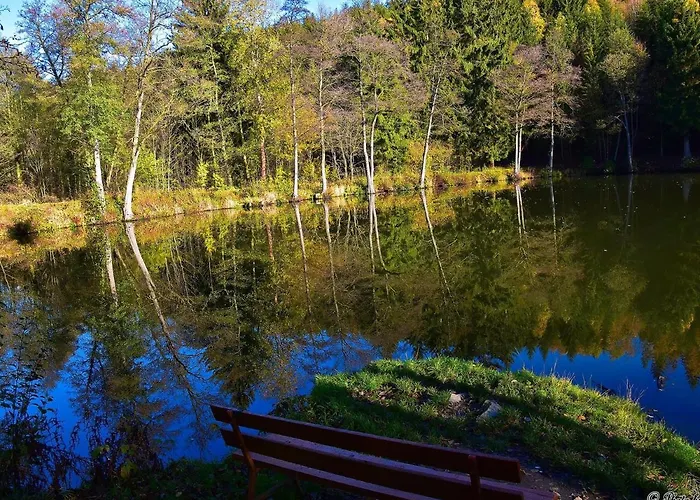 Bergschwalbe St. Andreasberg Sankt Andreasberg