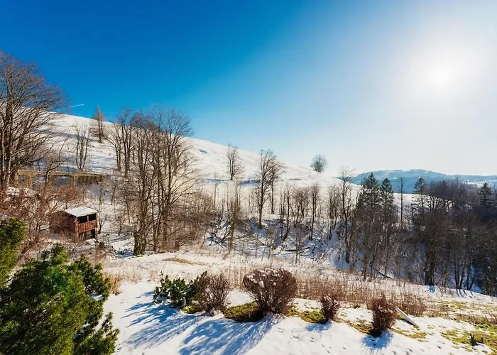 Daire Bergschwalbe St. Andreasberg Sankt Andreasberg