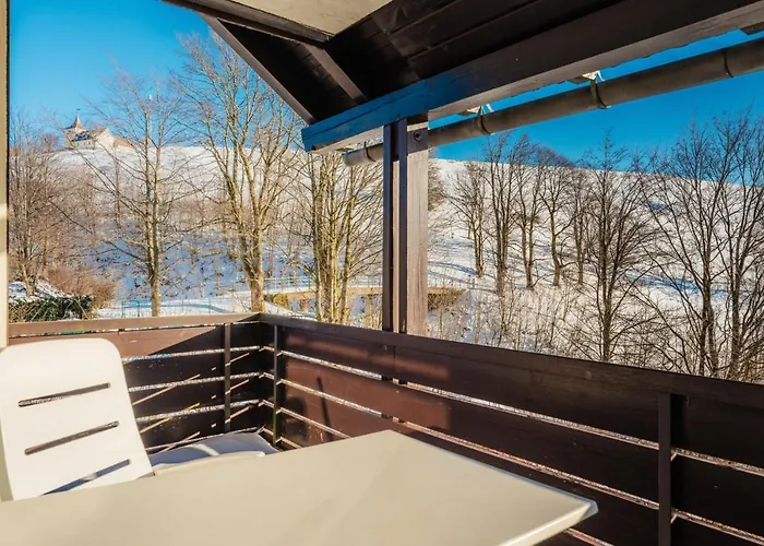 Bergschwalbe St. Andreasberg *